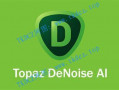 Topaz DeNoise AI（图片智能降噪软件）和谐版---包括v2.4.2以上新版